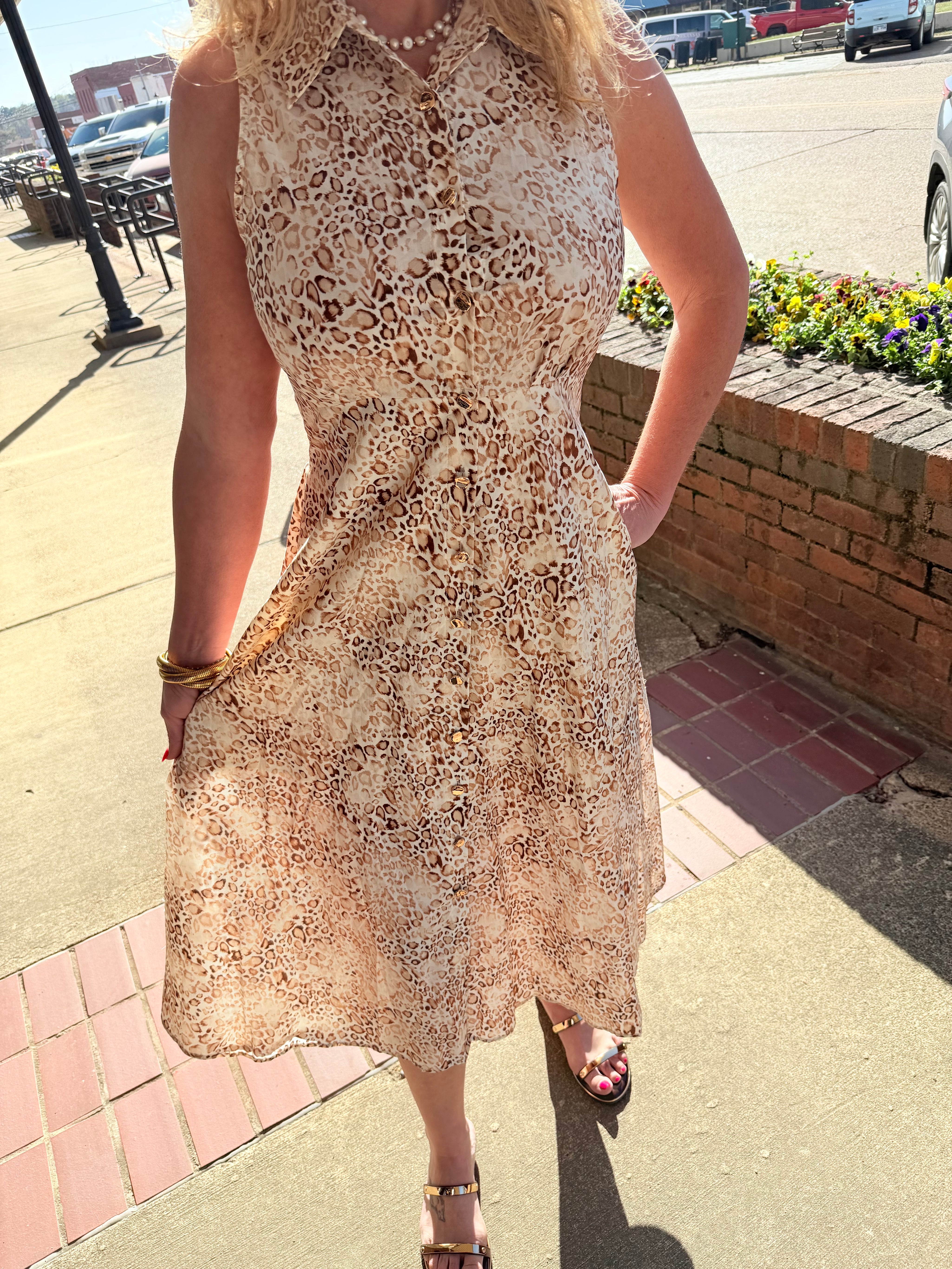 Golden Savannah Leopard Button-Front Midi Dress