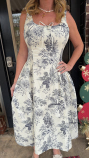 Blue Toile Dress