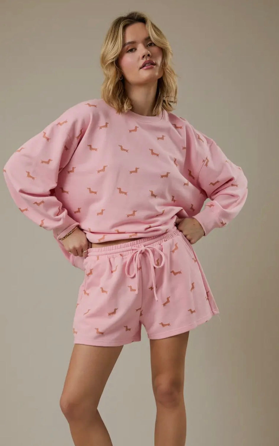 Dachshund lounge sets