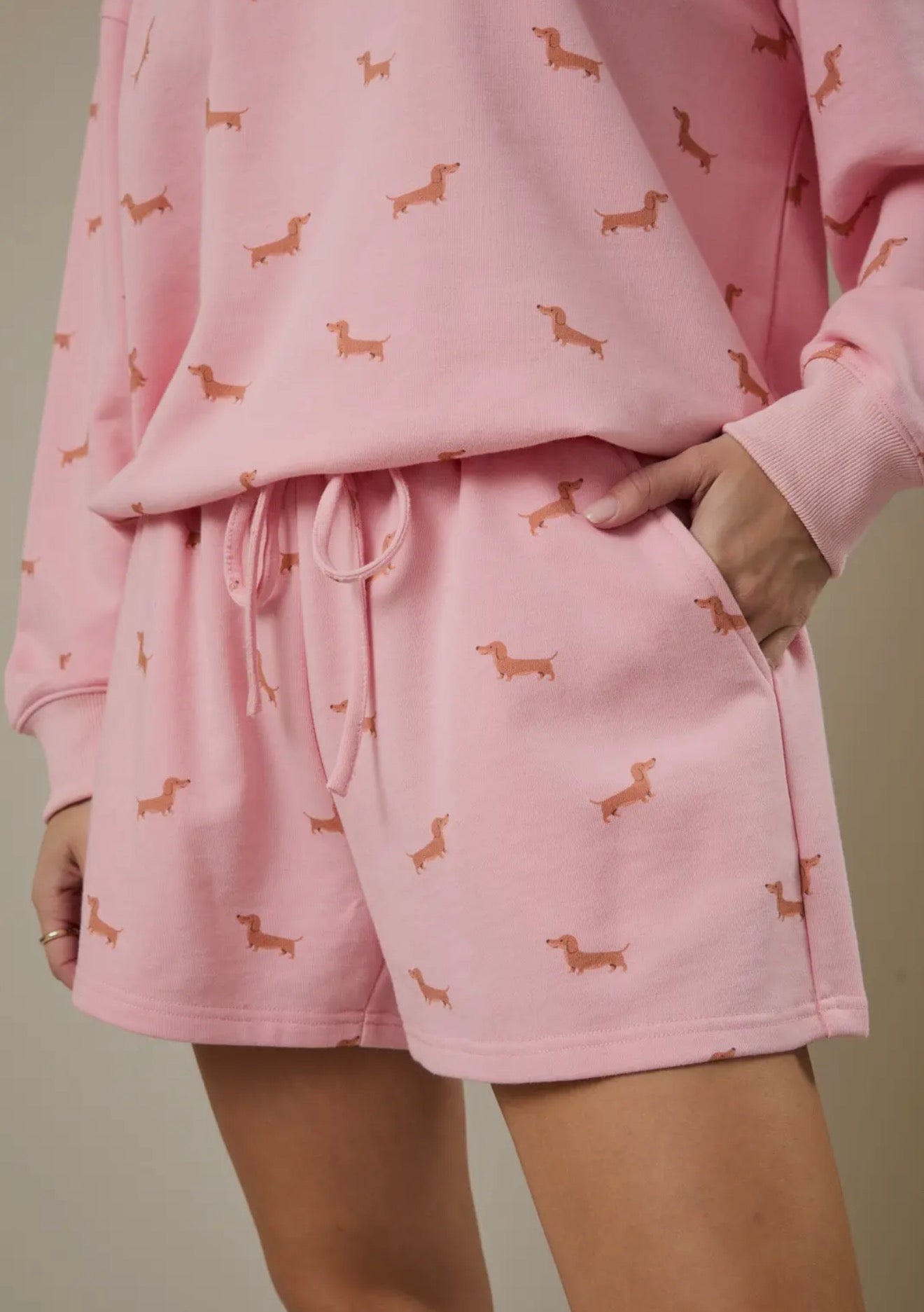 Dachshund lounge sets