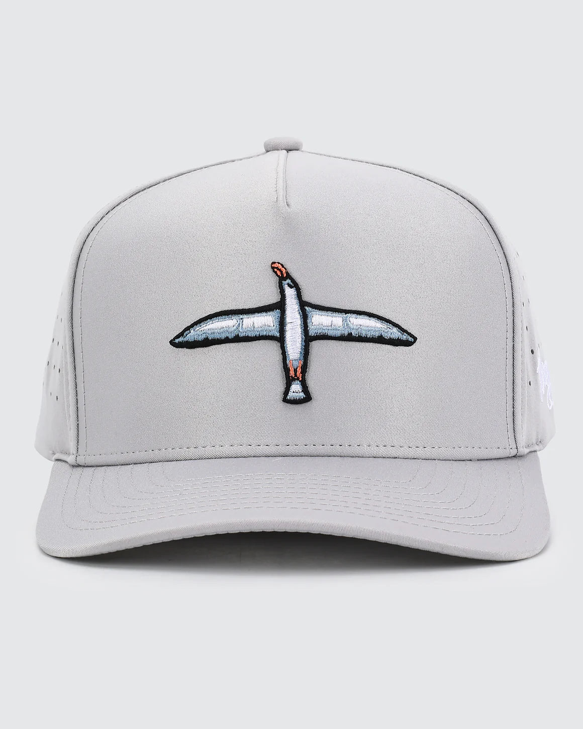 Albatross hat
