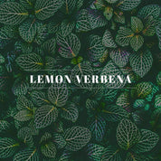 Orleans home fragrance - Lemon Verbena