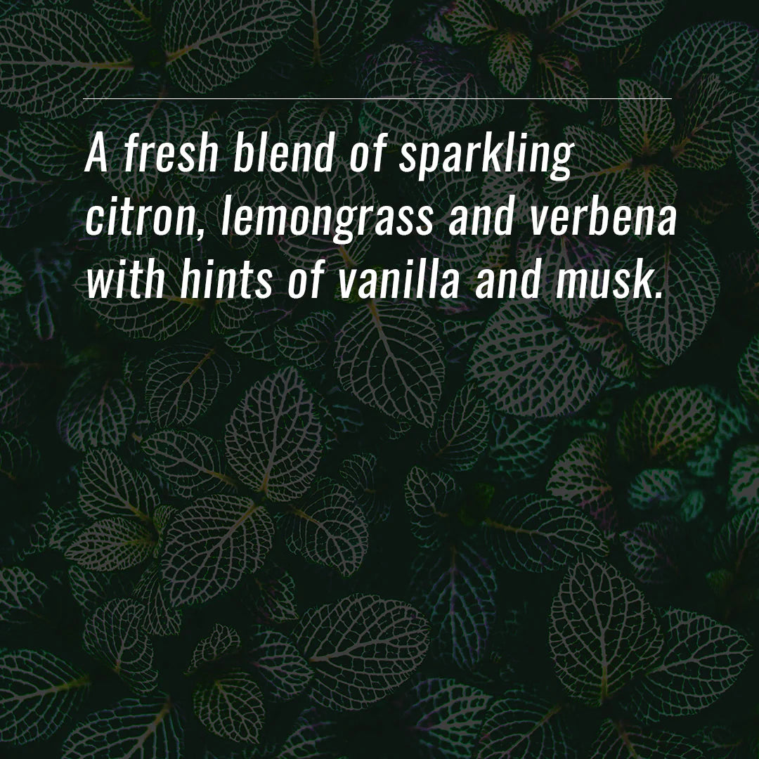 Orleans home fragrance - Lemon Verbena