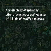 Orleans home fragrance - Lemon Verbena