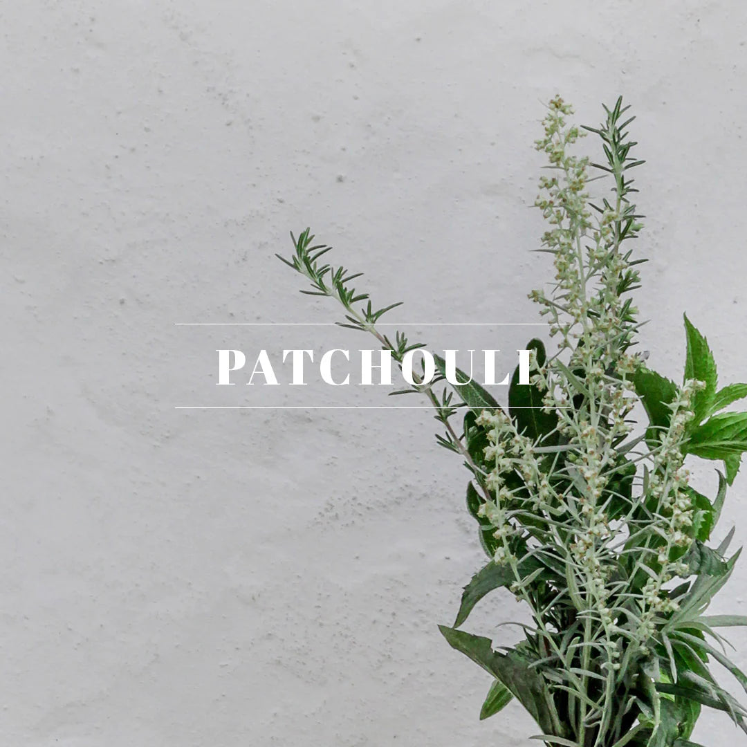 Orleans Home fragrance - Patchouli