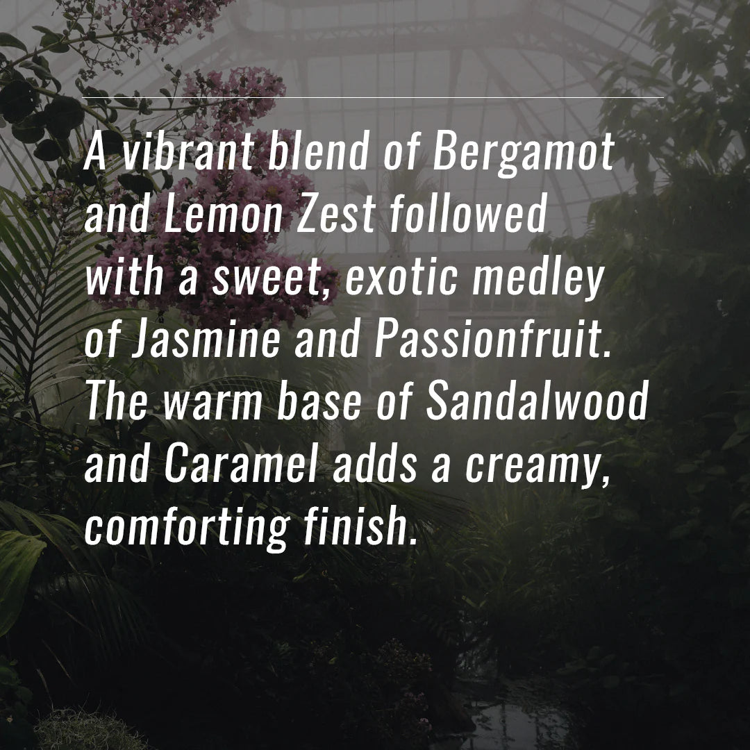 Orleans home fragrance - Sanctuary