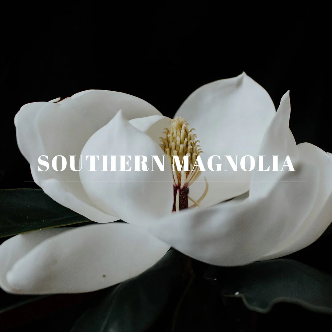 Orleans home fragrance - Southern Magnolia
