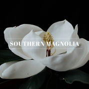 Orleans home fragrance - Southern Magnolia
