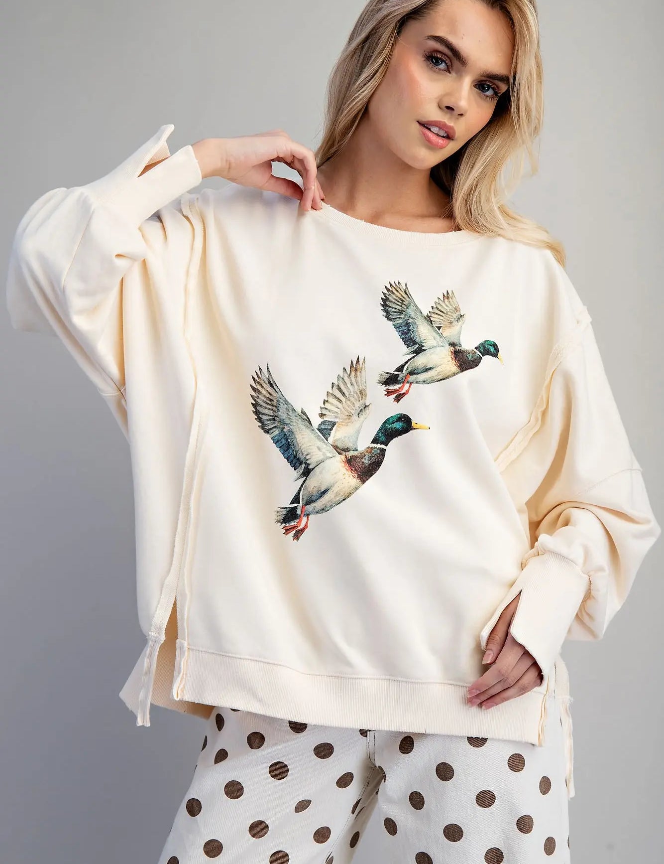 duck1.webp